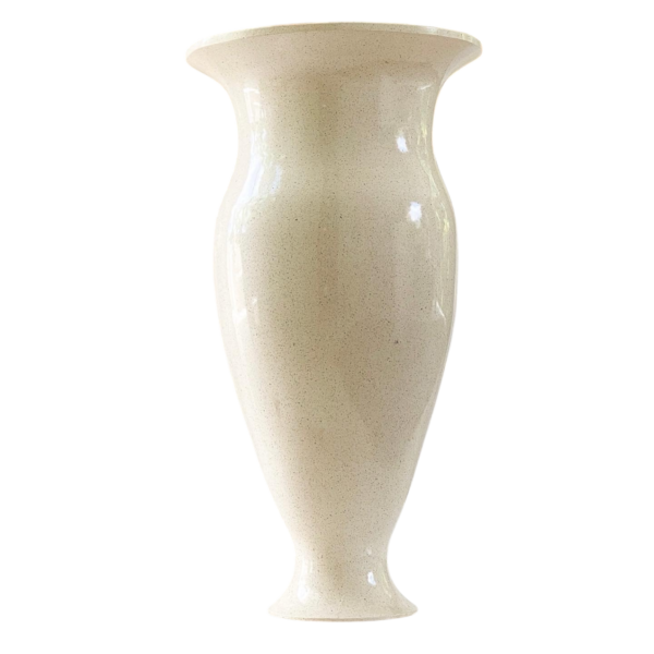 photoroom 20260122 215200 photoroom 20260122 215200