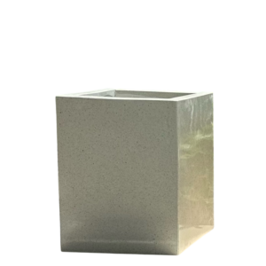 photoroom 20260122 215647 photoroom 20260122 215647