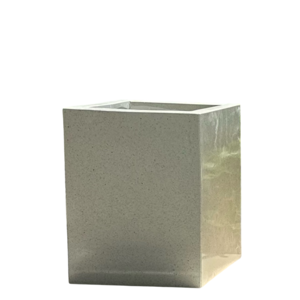 photoroom 20260122 215647