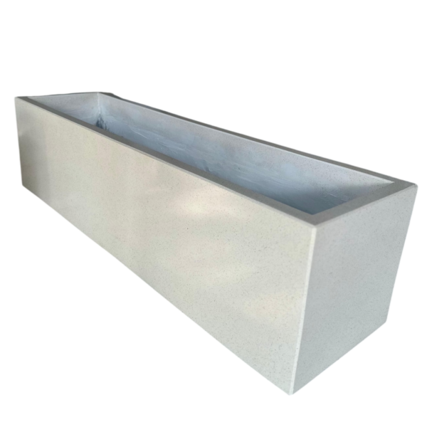 photoroom 20260122 215813 photoroom 20260122 215813