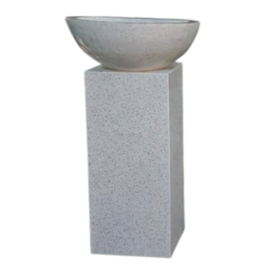 photoroom 20260124 125237