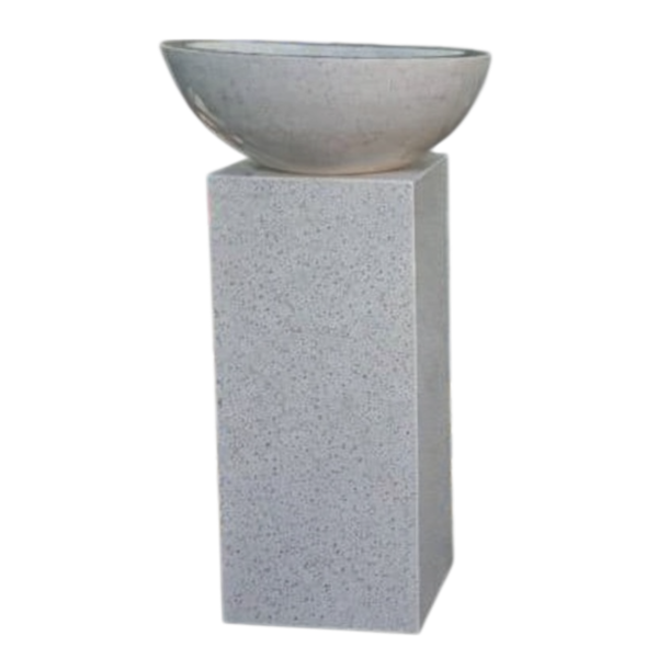 photoroom 20260124 125237 photoroom 20260124 125237