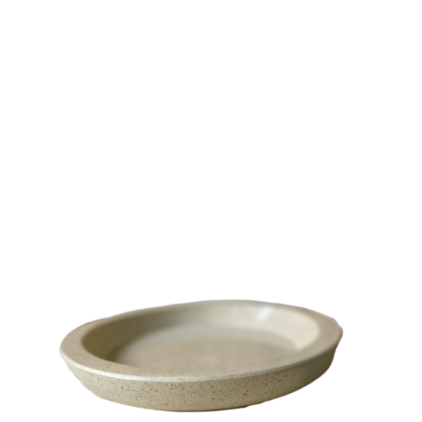 photoroom 20260124 181950 photoroom 20260124 181950