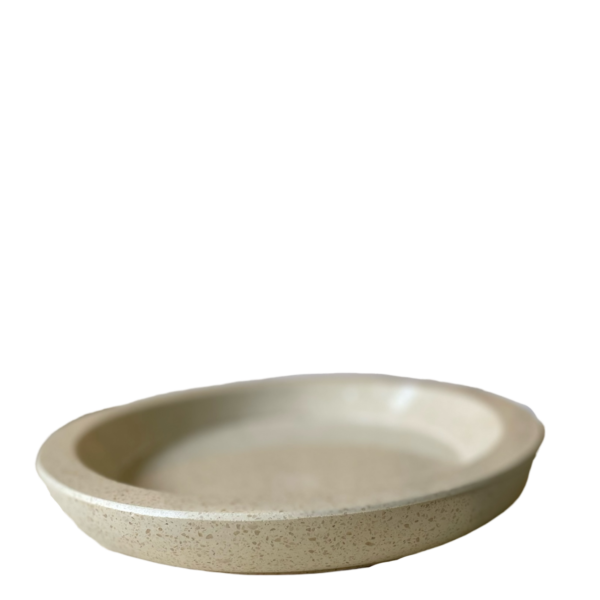 photoroom 20260124 182015 photoroom 20260124 182015