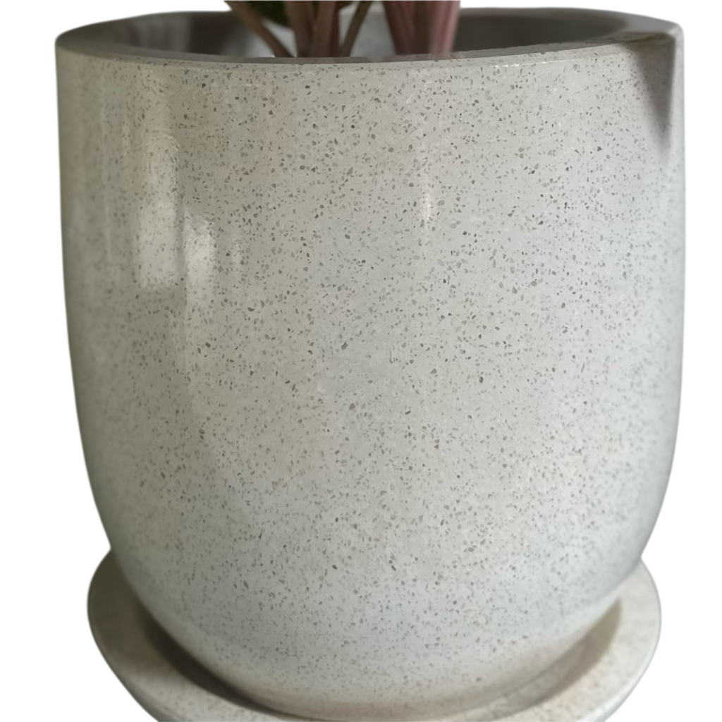 photoroom 20260125 173152