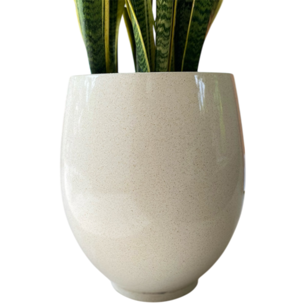 photoroom 20260125 183840