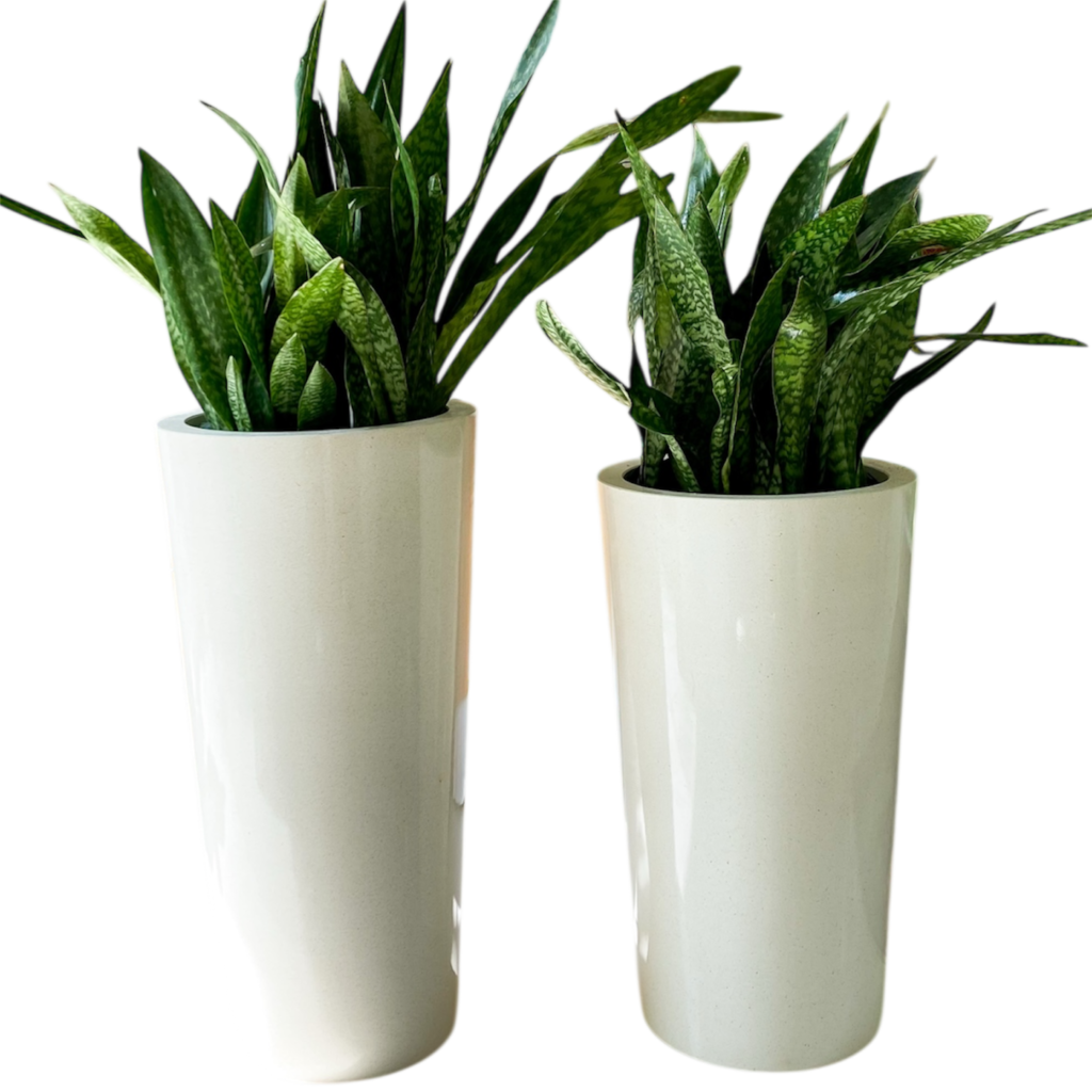 Photoroom 20260201 142617 1024x1024