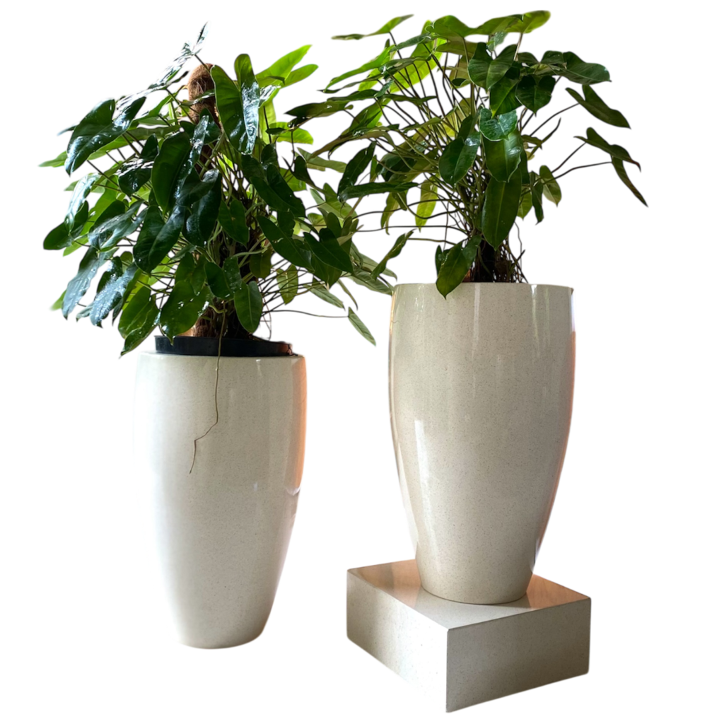 Photoroom 20260201 143418 1024x1024