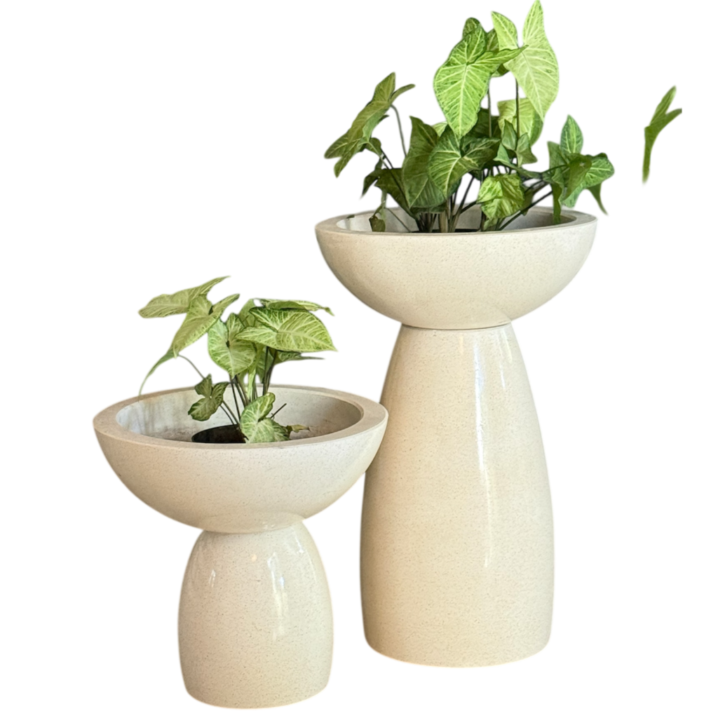 Photoroom 20260201 144336 1024x1024