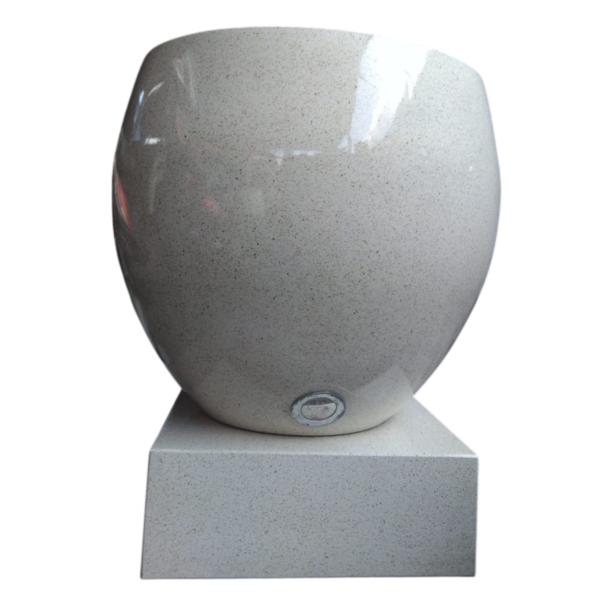 photoroom 20260206 152254