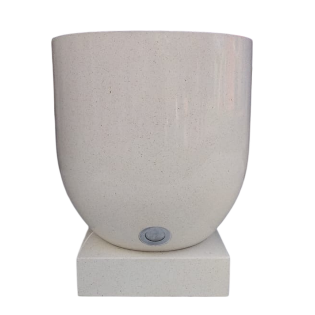 photoroom 20260206 152318