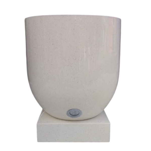 photoroom 20260206 152318