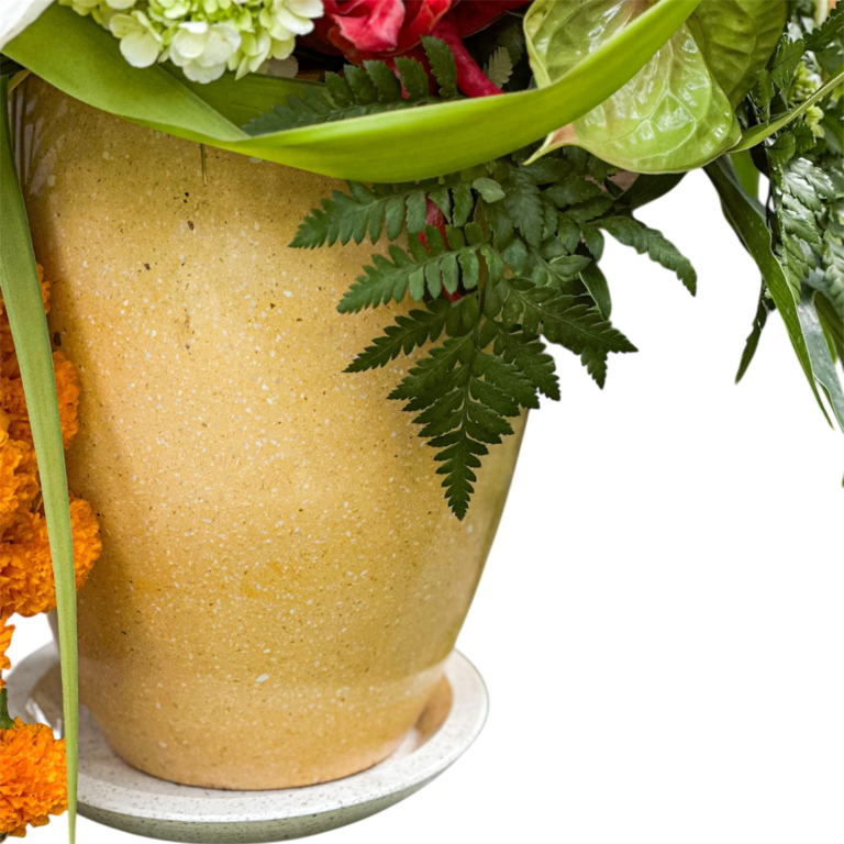 photoroom 20260207 002201