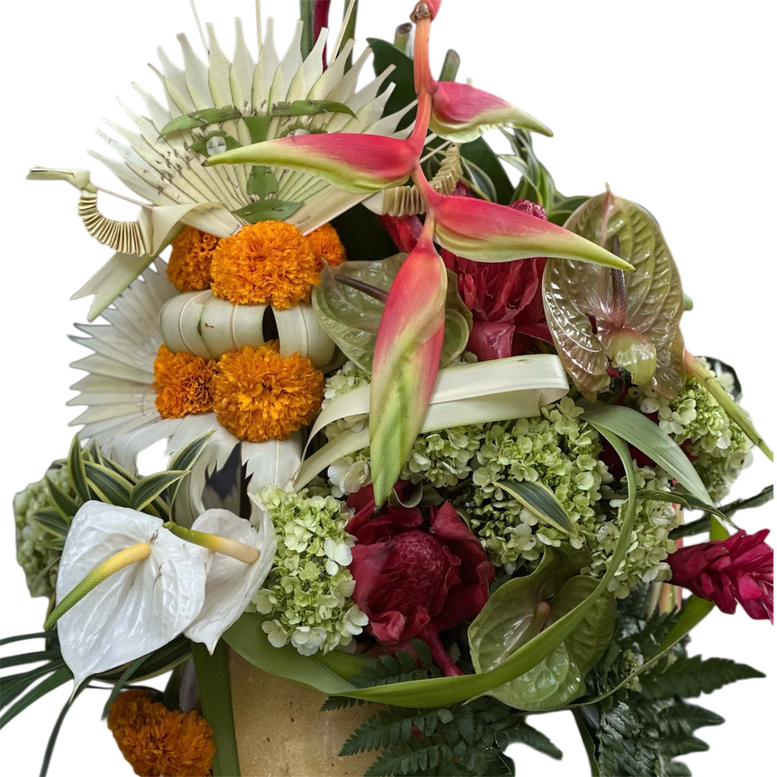 photoroom 20260207 095905