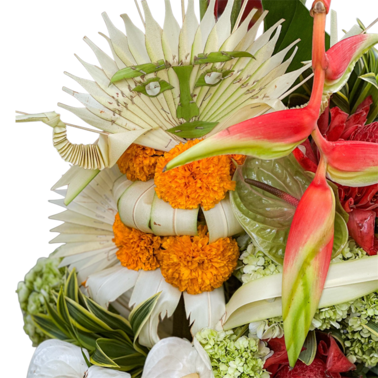 photoroom 20260207 100239