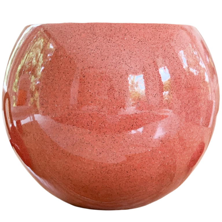 photoroom 20260207 105034