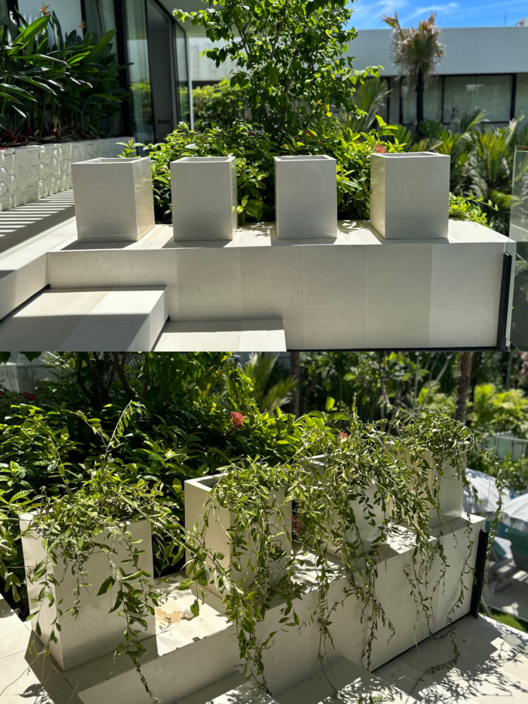 Collaboration untitled design 2