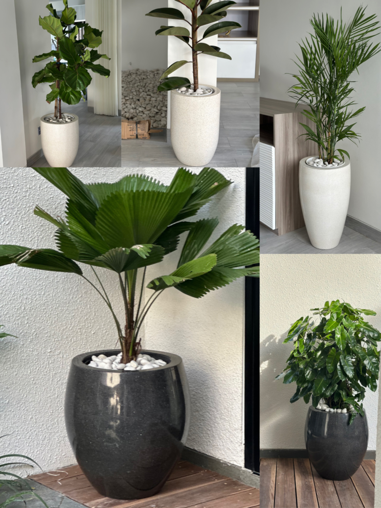 Collaboration untitled design 3