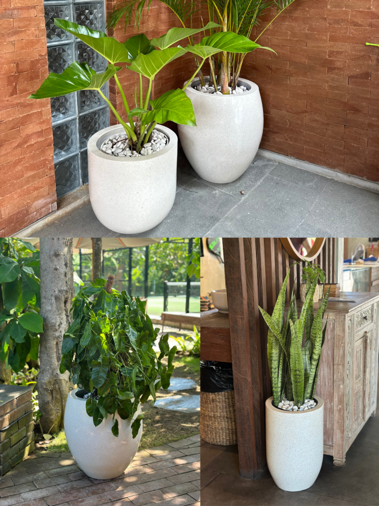 Collaboration untitled design 5